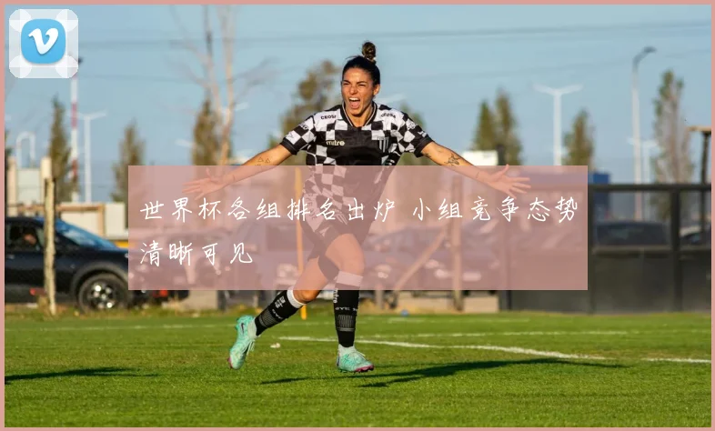 世界杯各组排名出炉 小组竞争态势清晰可见
