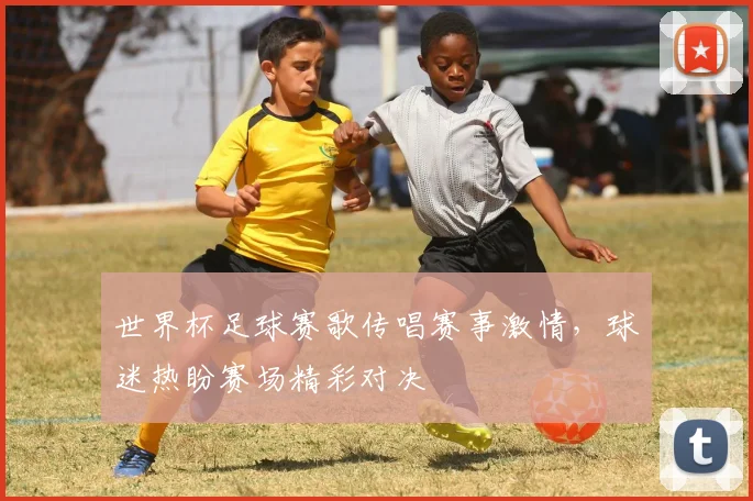 世界杯足球赛歌传唱赛事激情,球迷热盼赛场精彩对决